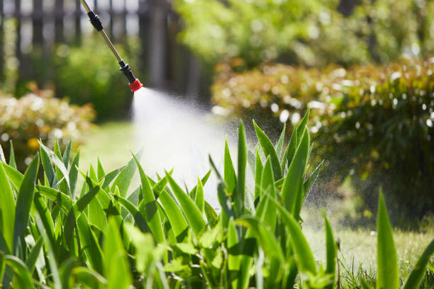 Tamper-Resistant Bait Stations for Rodents in Central City